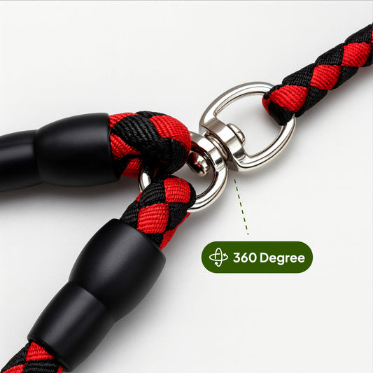 Double Leash — Walk Two Dogs, One Leash