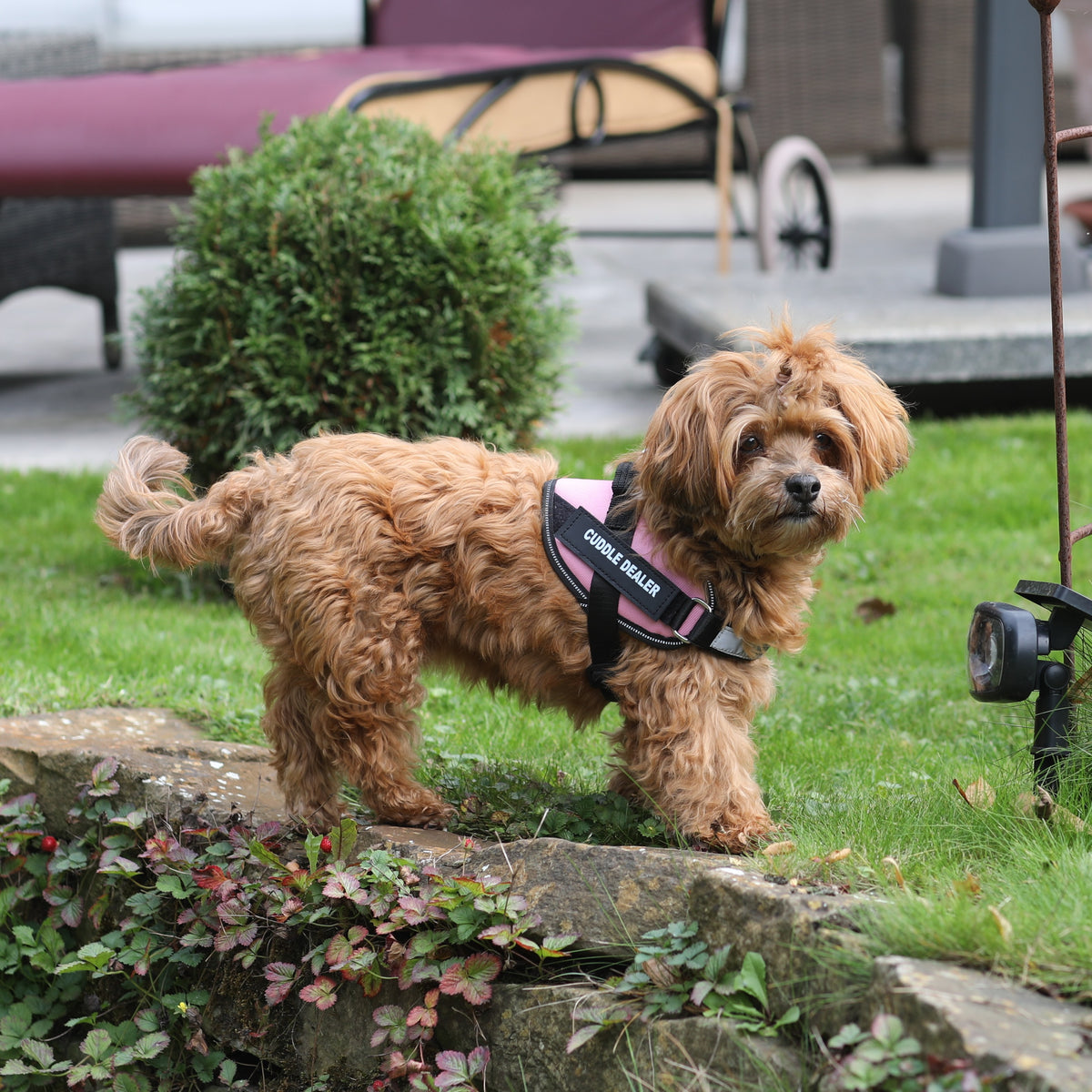 Extra Nickname Patch