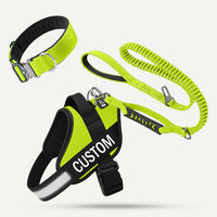 Complete Walk Set