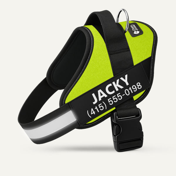 Dogshood ™ Ergonomic Harness