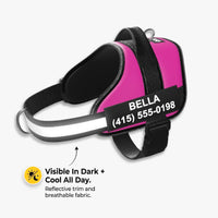 Dogshood ™ No Pull Harness