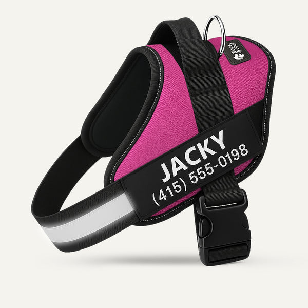 Dogshood ™ Ergonomic Harness
