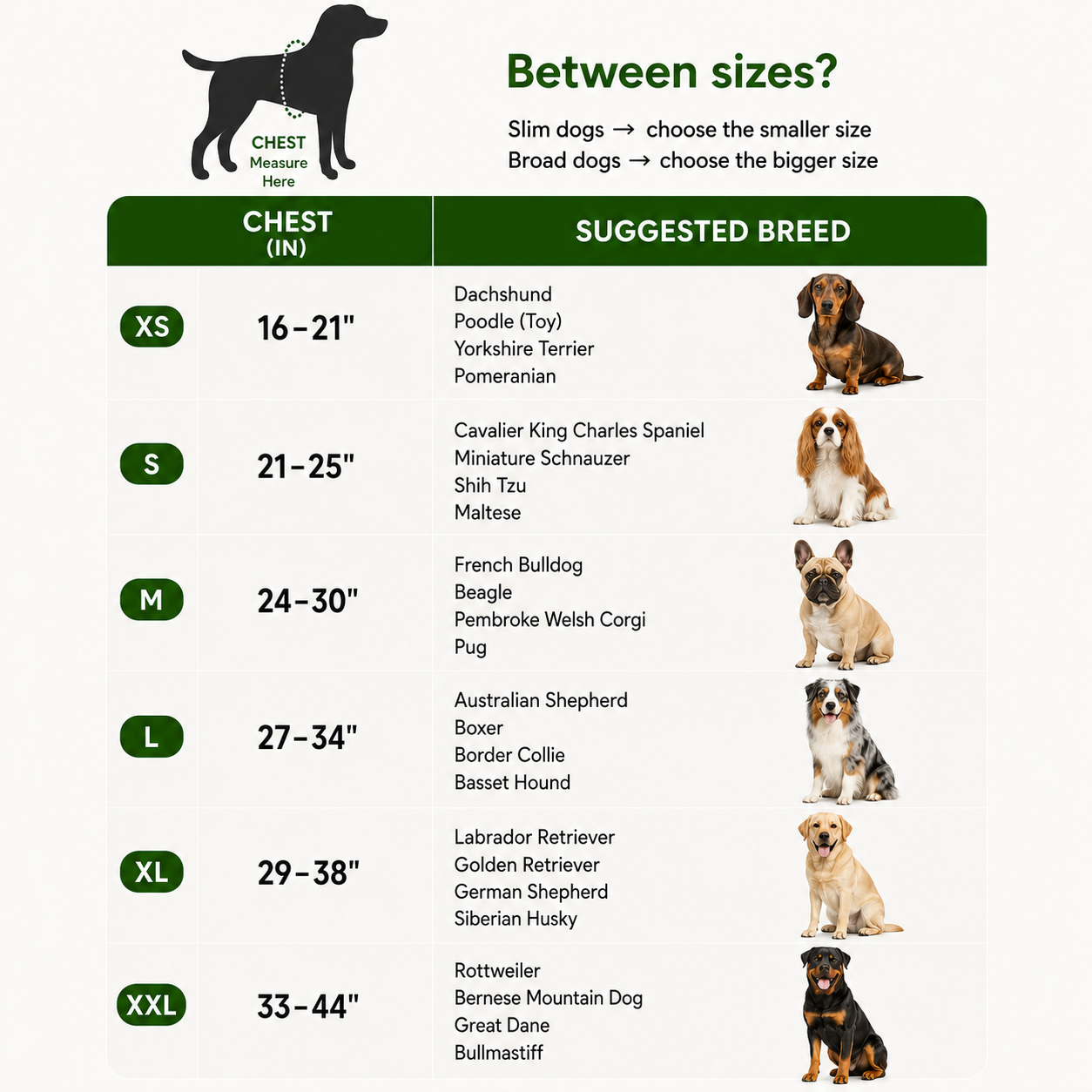 Dogshood ™ No Pull Harness