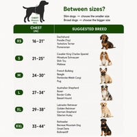 Dogshood ™ No Pull Harness