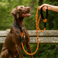 Reflective Nylon Leash