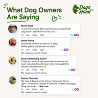 Reviews