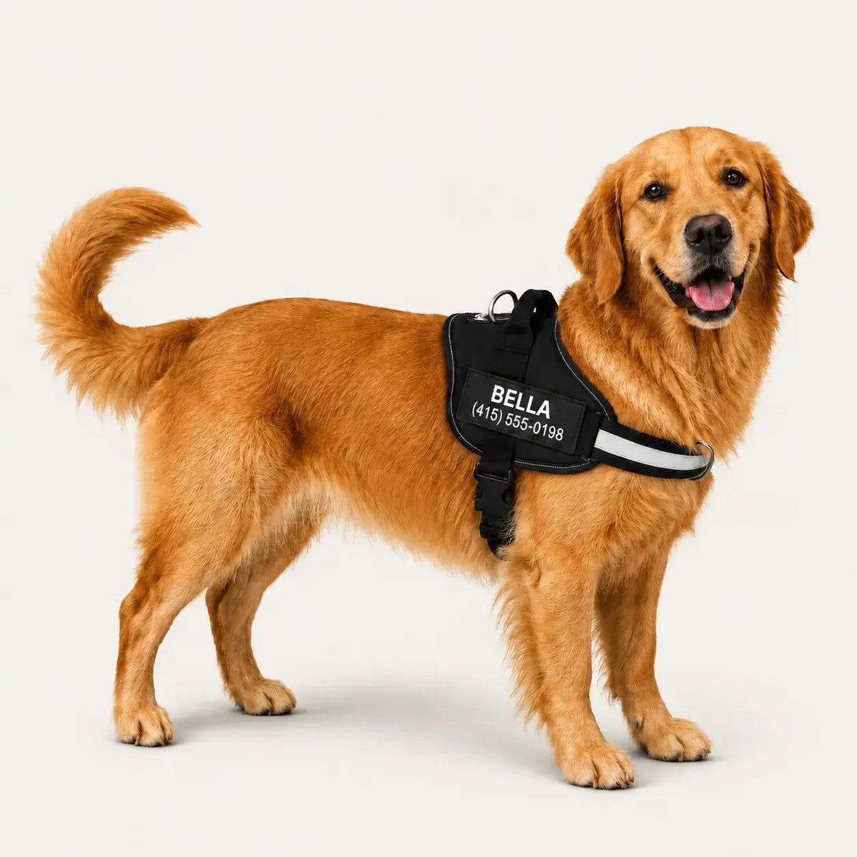Dogshood ™ No Pull Harness