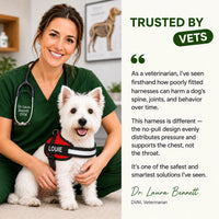 Personalized Dog Harness