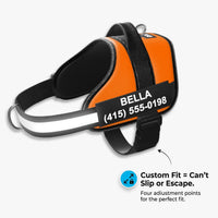 Dogshood ™ No Pull Harness