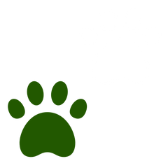 Small to Medium Dogs