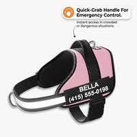 Dogshood ™ No Pull Harness