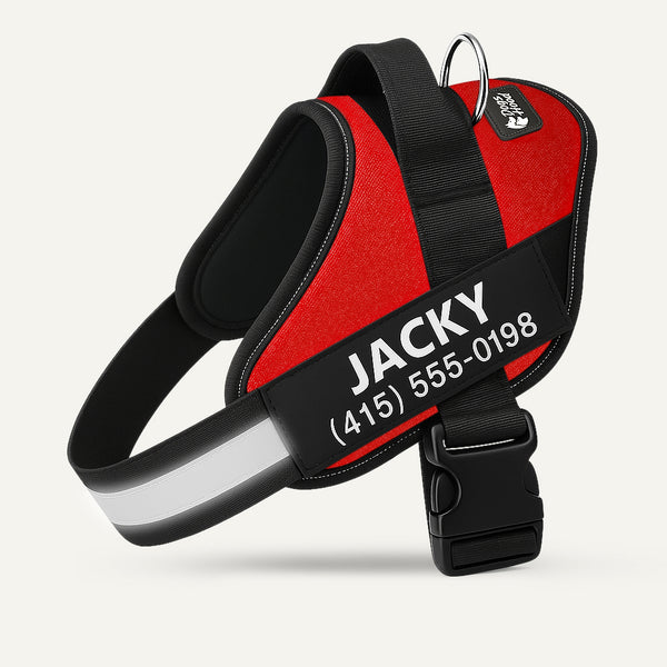 Dogshood ™ Ergonomic Harness